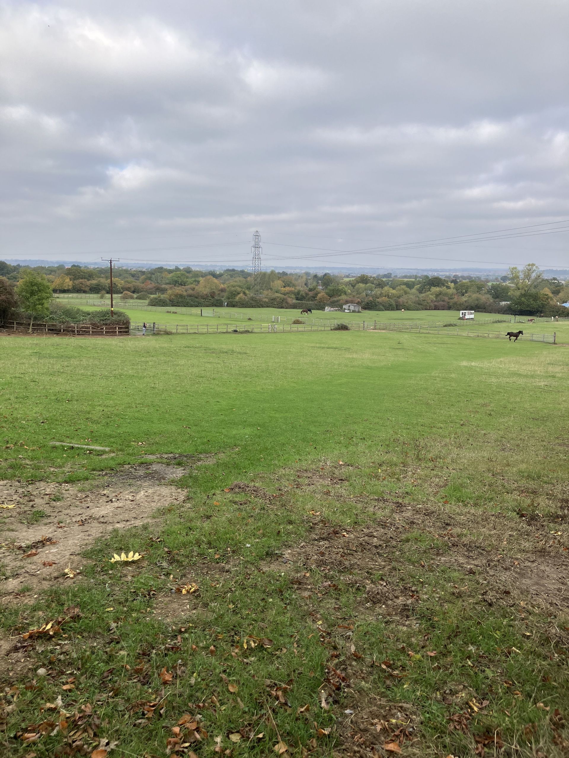 View towards the river